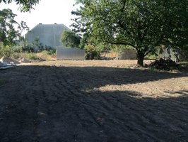 Ogród w Poznaniu