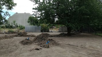 Ogród w Poznaniu